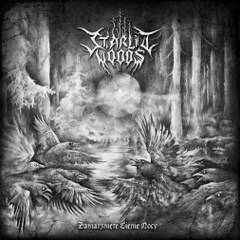 Starlit Woods : Zamarznięte Cienie Nocy